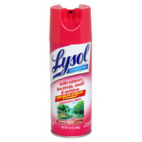 7207_Image Lysol Disinfectant Summer Breeze Aerosol Spray.jpg